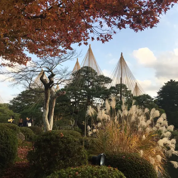 唐崎松と紅葉、ススキ🌾