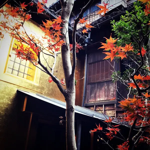 黄金の蔵と紅葉