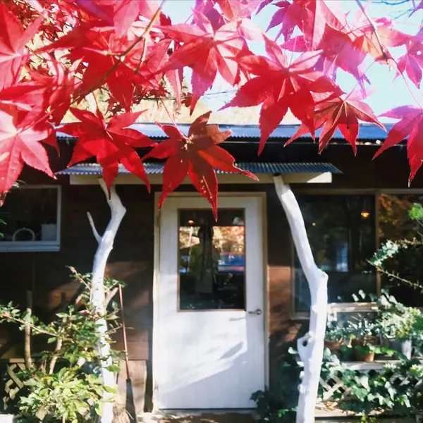 紅葉