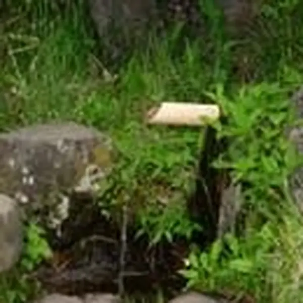 延命水