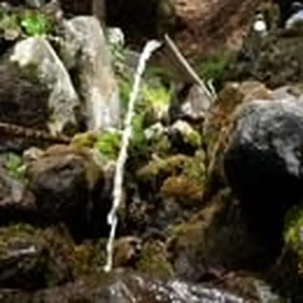 弘法水
