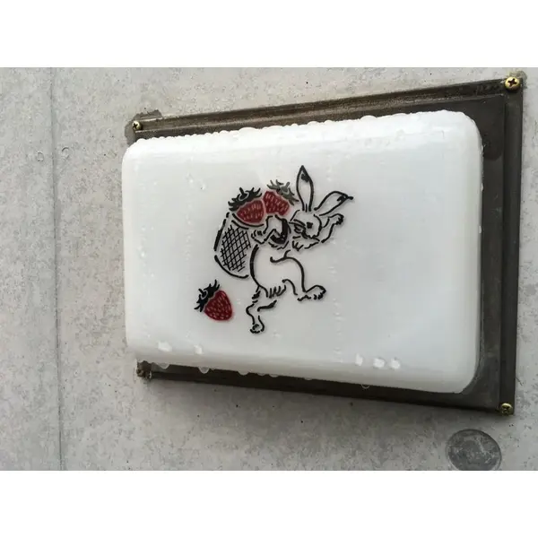 かわいいうさちゃんがお出迎え🐇