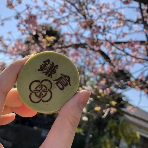 桜と一緒に