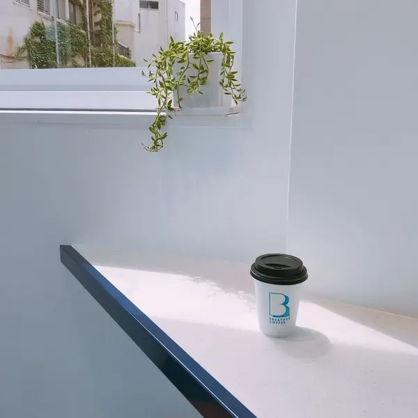 中はオシャレ🌿
