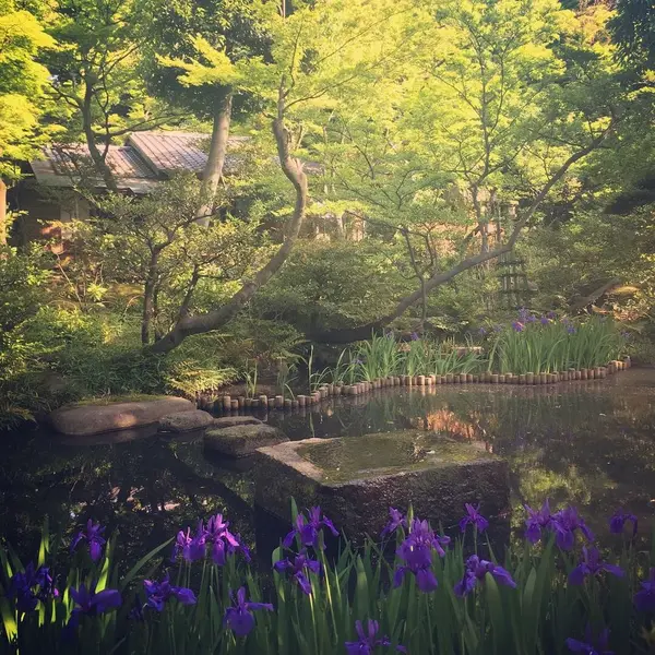 東京都心とは思えない風景