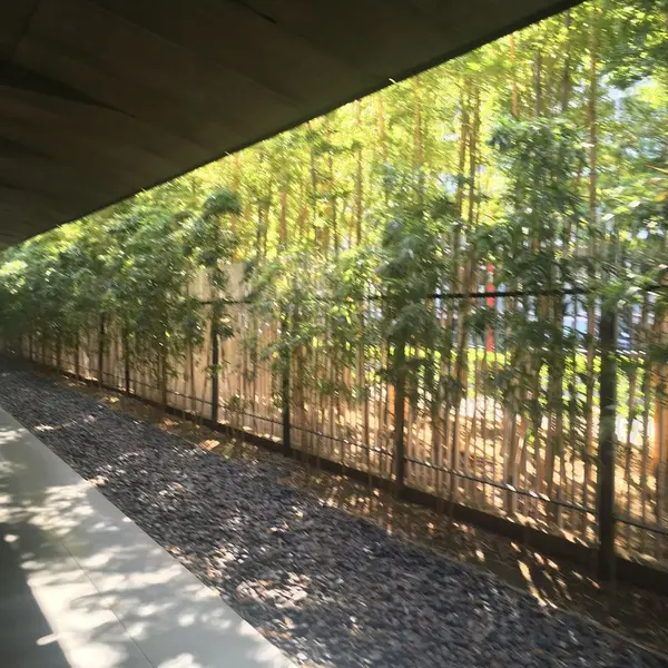 入り口までの道