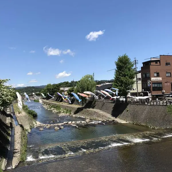 宮川に鯉のぼりが・・爽やかでした🤗