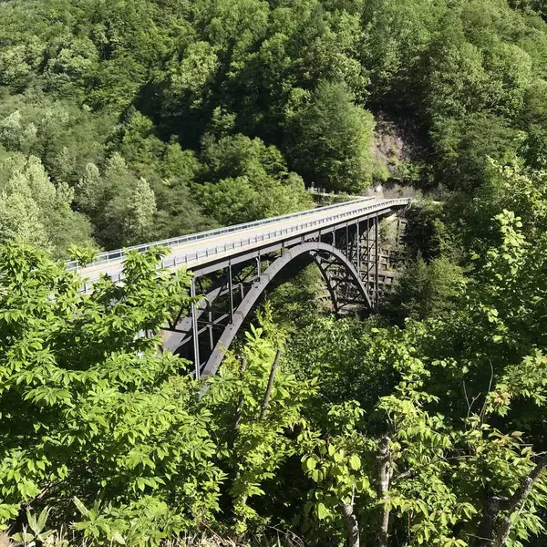 北アルプス大橋 全長150m