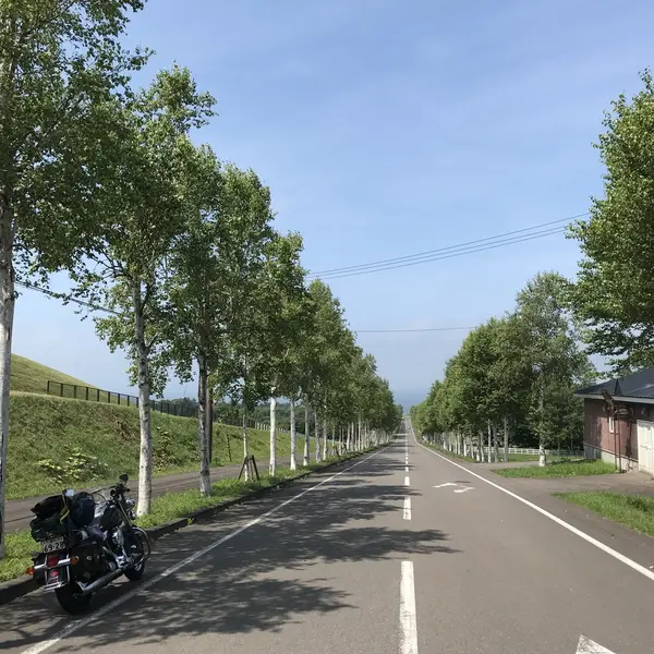 噴火湾パノラマパーク前の直線道