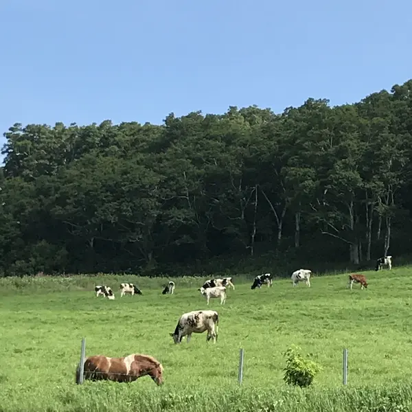 城岱牧場