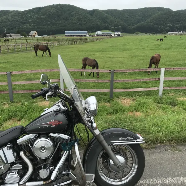 新冠
