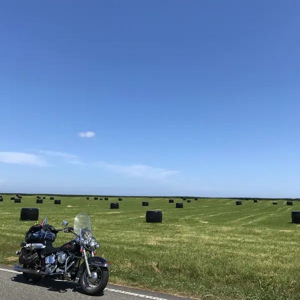 エサヌカ線