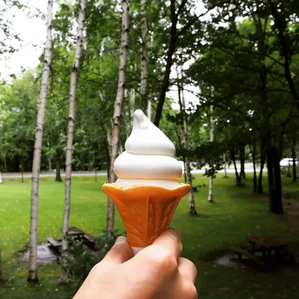 アイス工房のチーズソフトクリーム