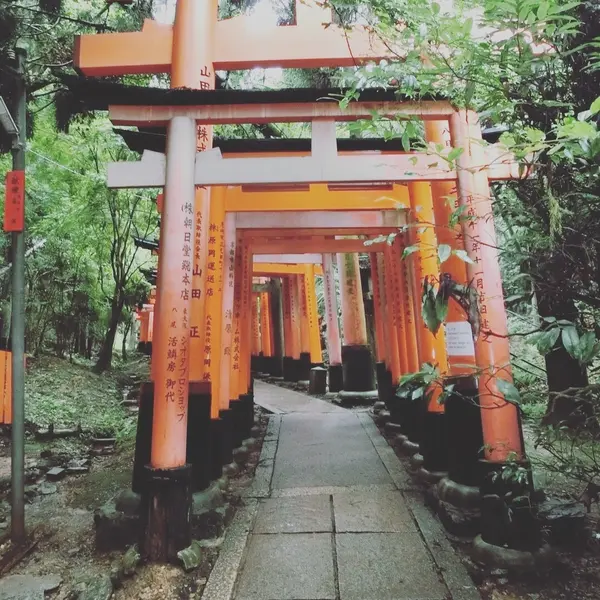 鳥居が幻想的でした。