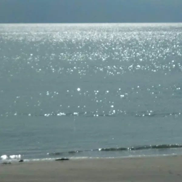 キラキラ輝く秋の海