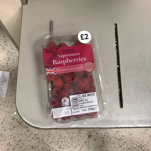 raspberry