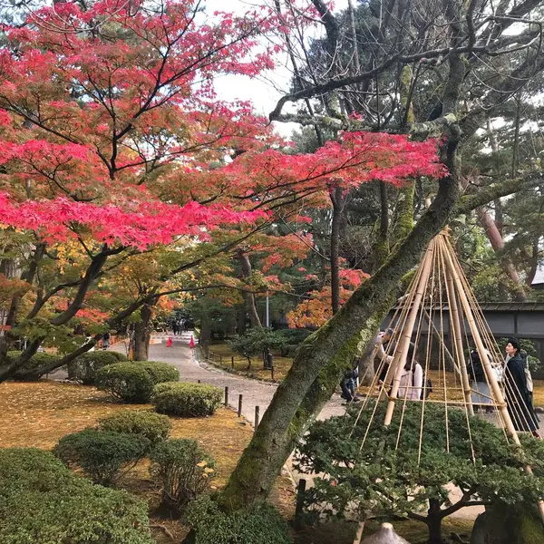 紅葉が綺麗🍁