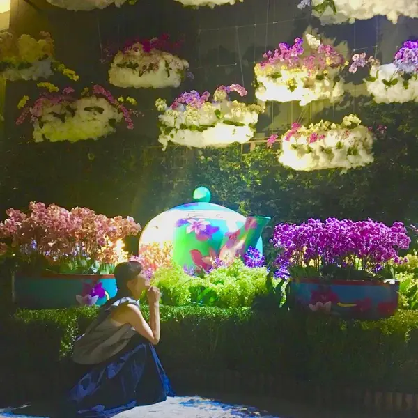 2つのドームには様々な植物が