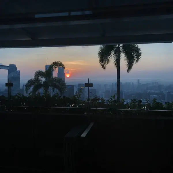 サンセットと夜景も素敵