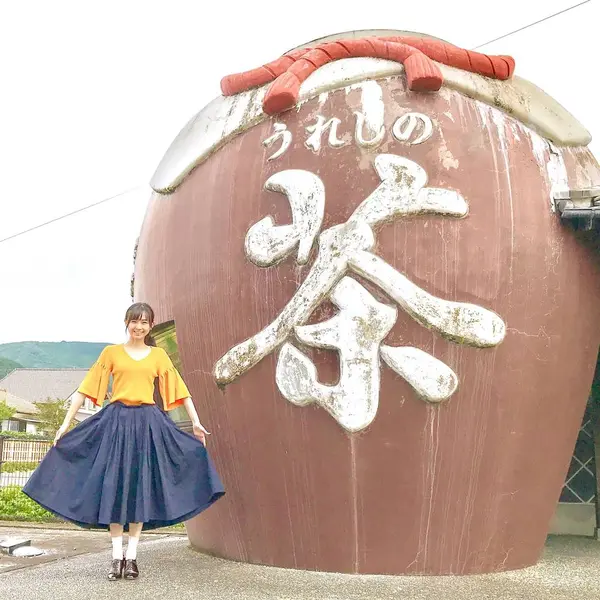 嬉野茶の思い出に