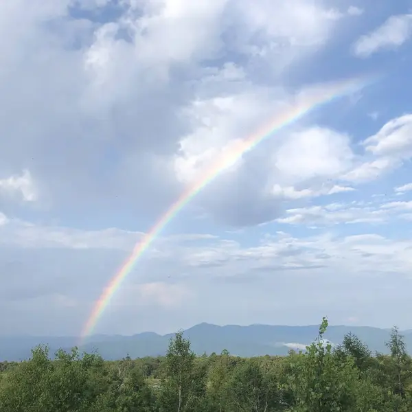お部屋の窓から①