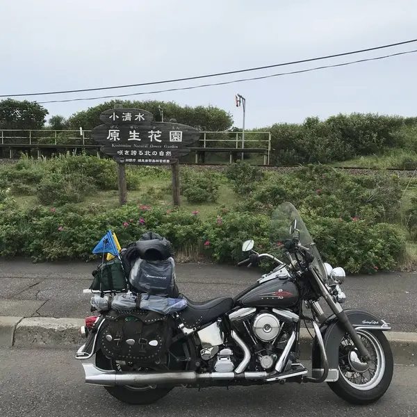 小清水原生花園
