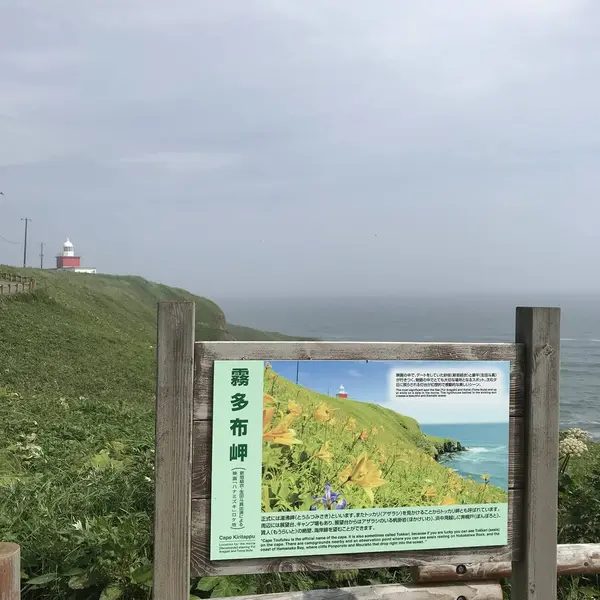 霧多布岬