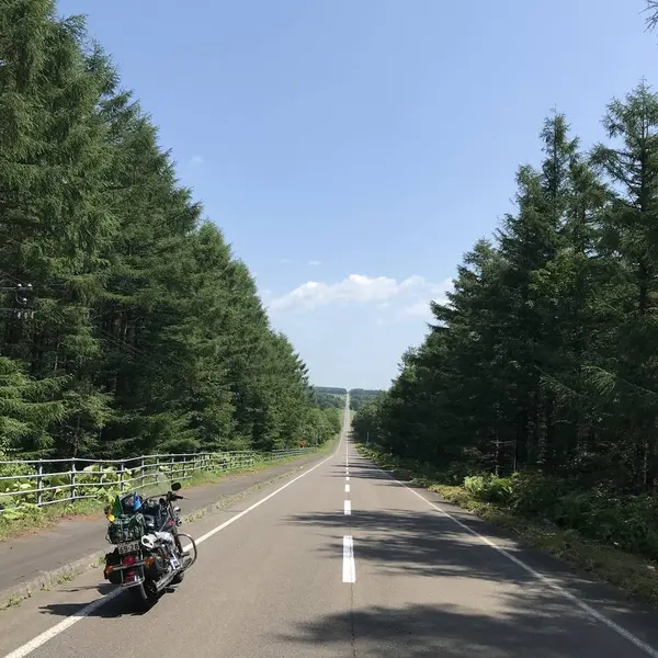 北19号線