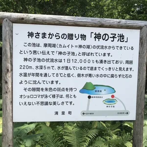 神の子池