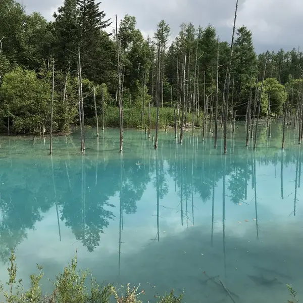 青い池