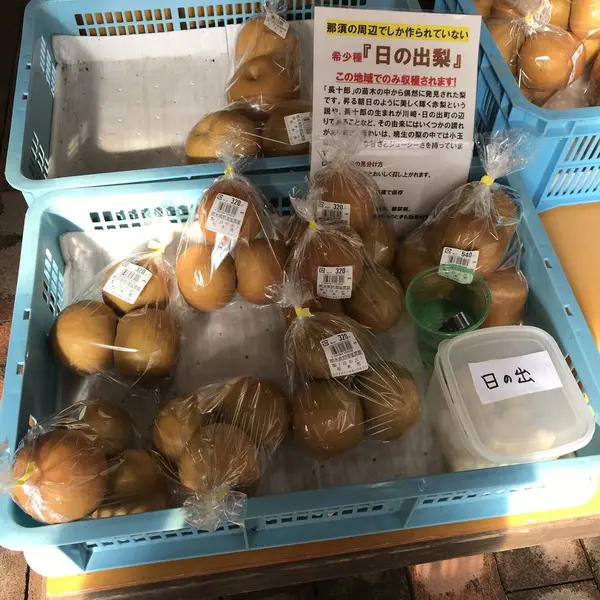 道の駅明治の森