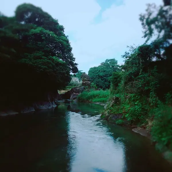川のせせらぎと小鳥のさえずりも楽しめます