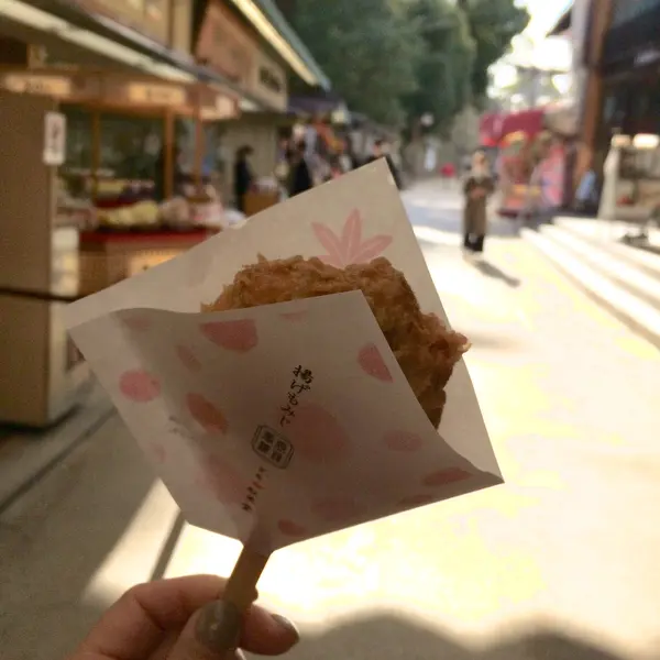 スポット内のおすすめ