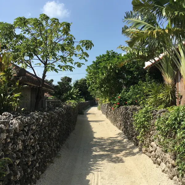 竹富島への行き方