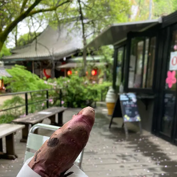 四季の花