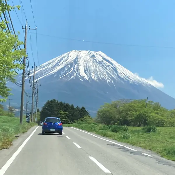 渋滞回避