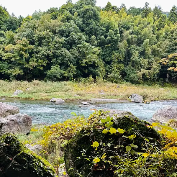 遊歩道からの景色