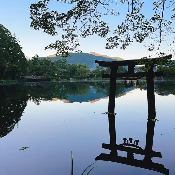 朝の金鱗湖2