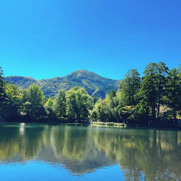 昼の金鱗湖1