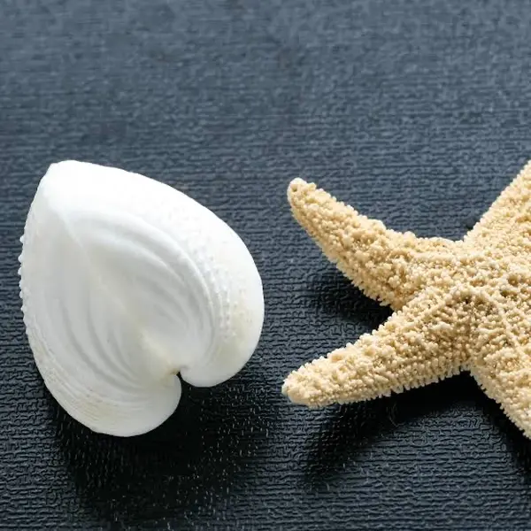 モクハチアオイガイ。