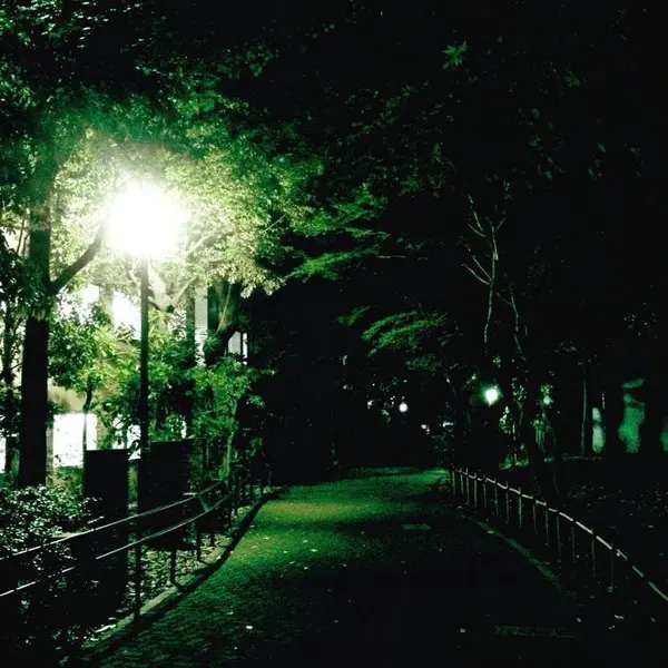 夜はムード満点