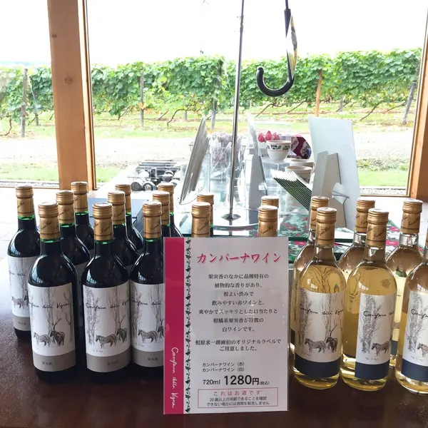 ワインもあります🍷