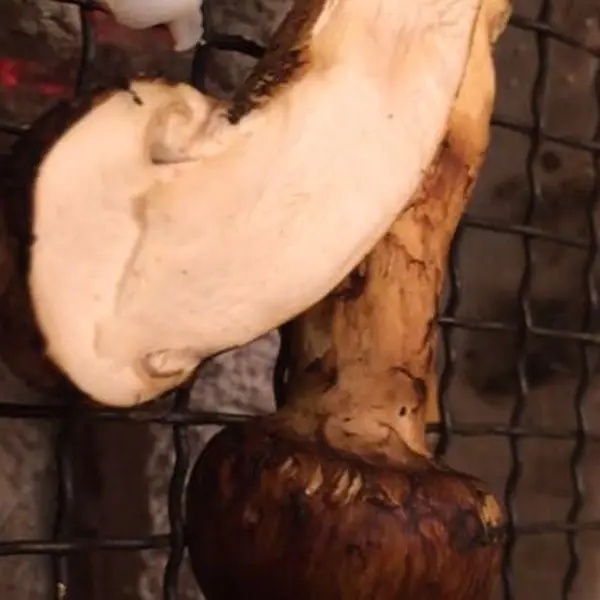 松茸焼き