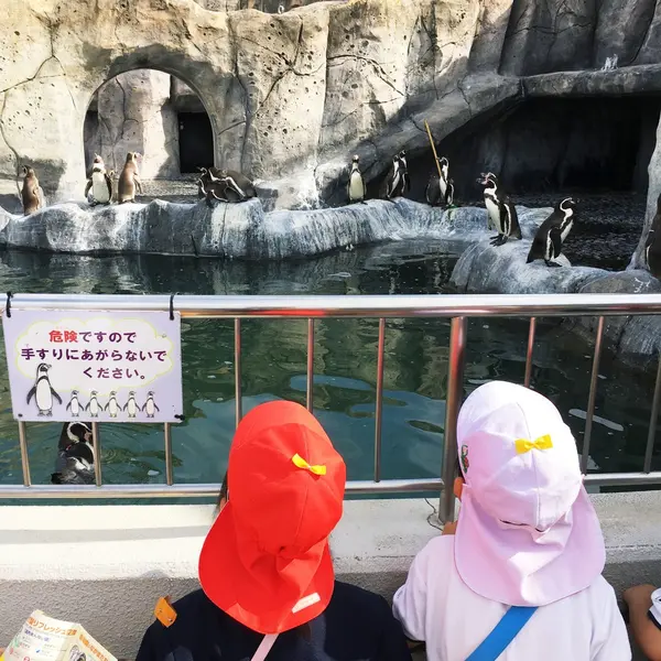 ペンギンも、亀も、トラ、ライオンもいます。