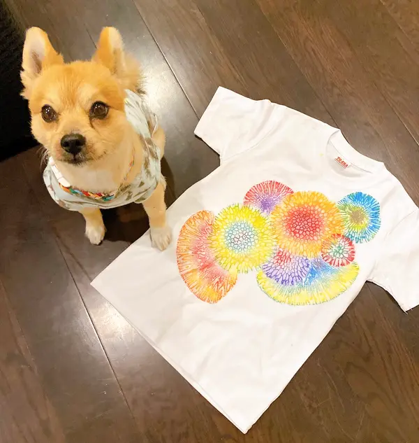 1番小さいサイズのTシャツで体験