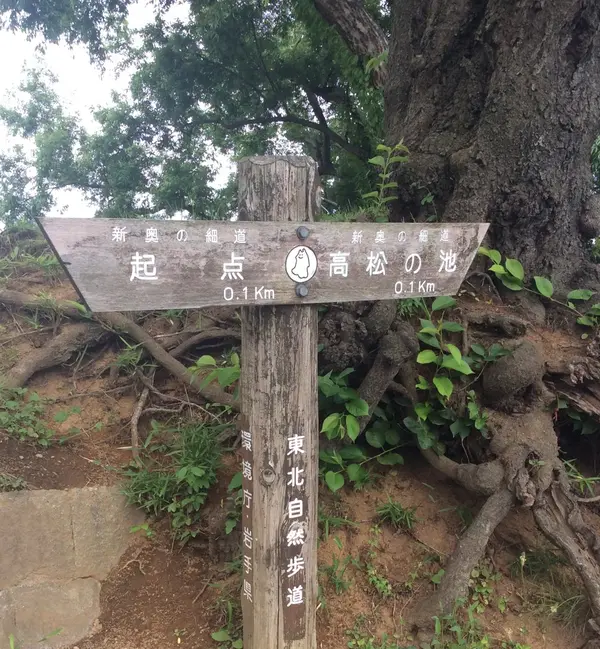 北山散策路