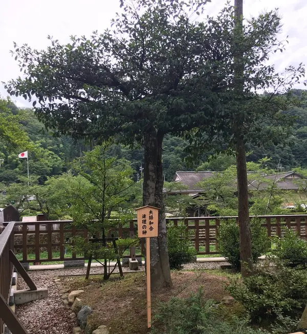 夫婦和合 連理の榊