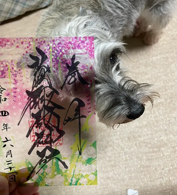 クリア御朱印