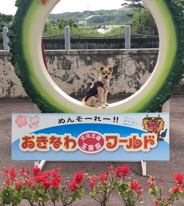 ゴーヤん中で記念撮影