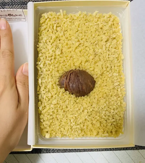 サイズ感